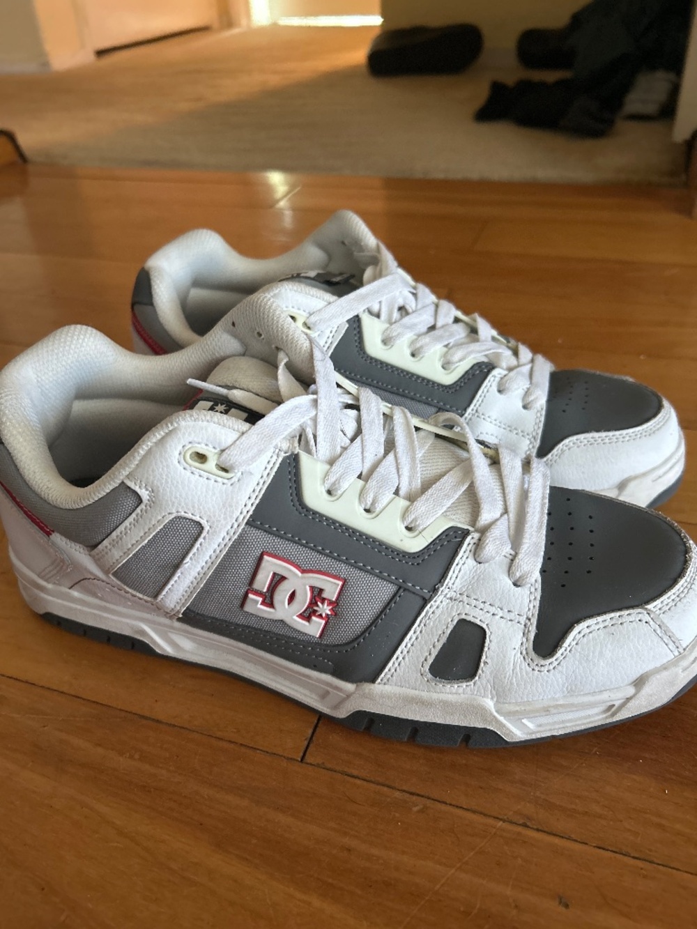 DC Stag Skate Shoes
